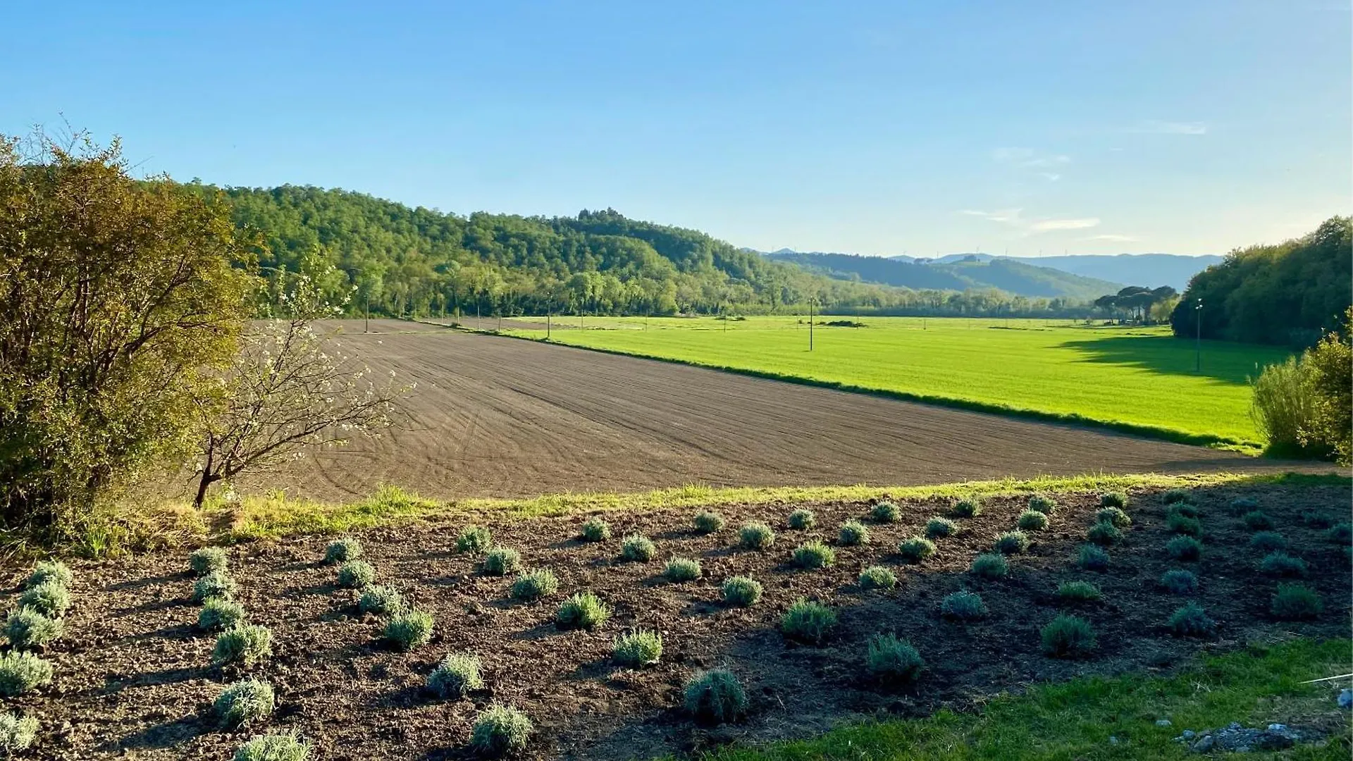Appartamento Casa Vacanze Podere San Giusto Volterra Italia