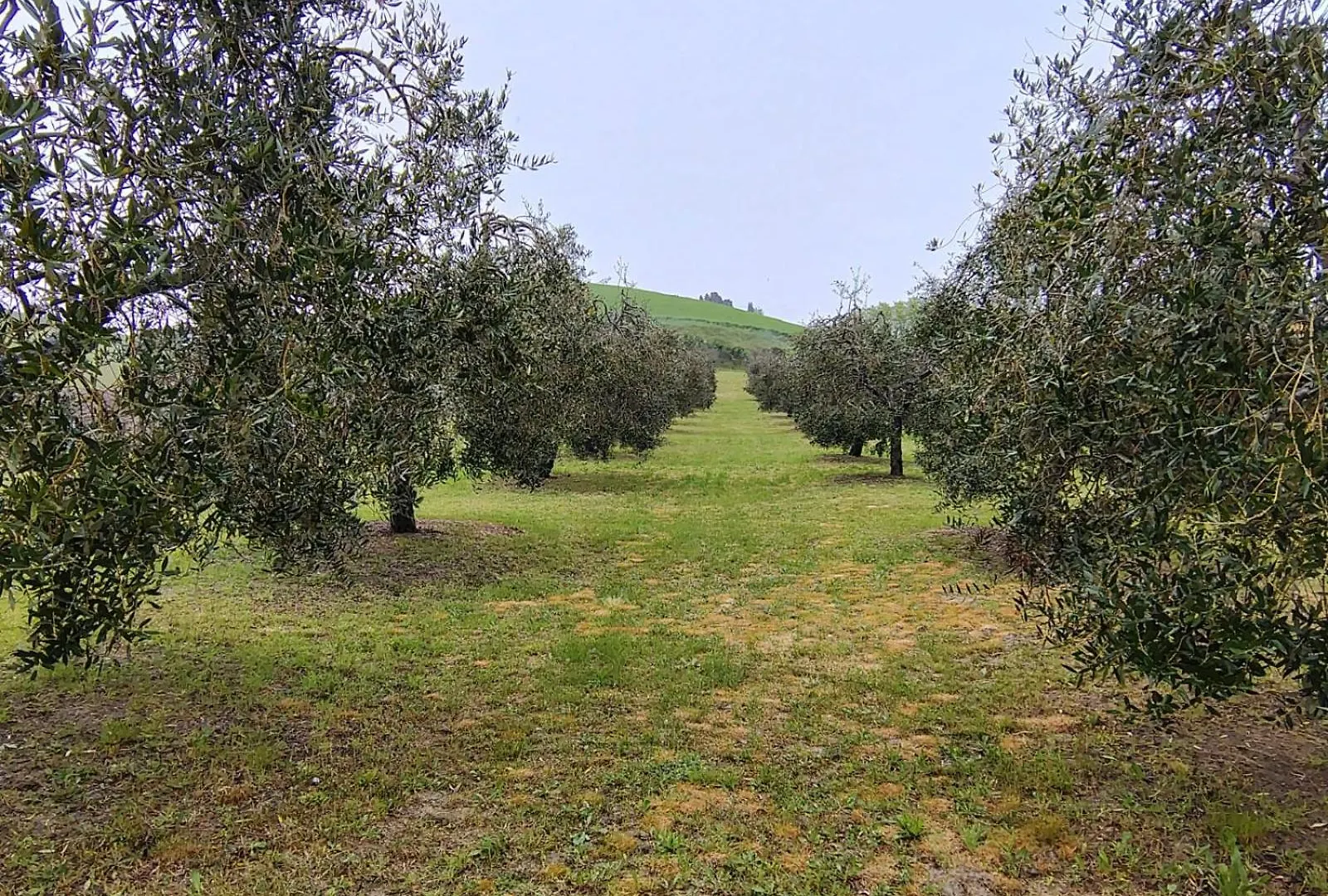 Appartamento Casa Vacanze Podere San Giusto Volterra