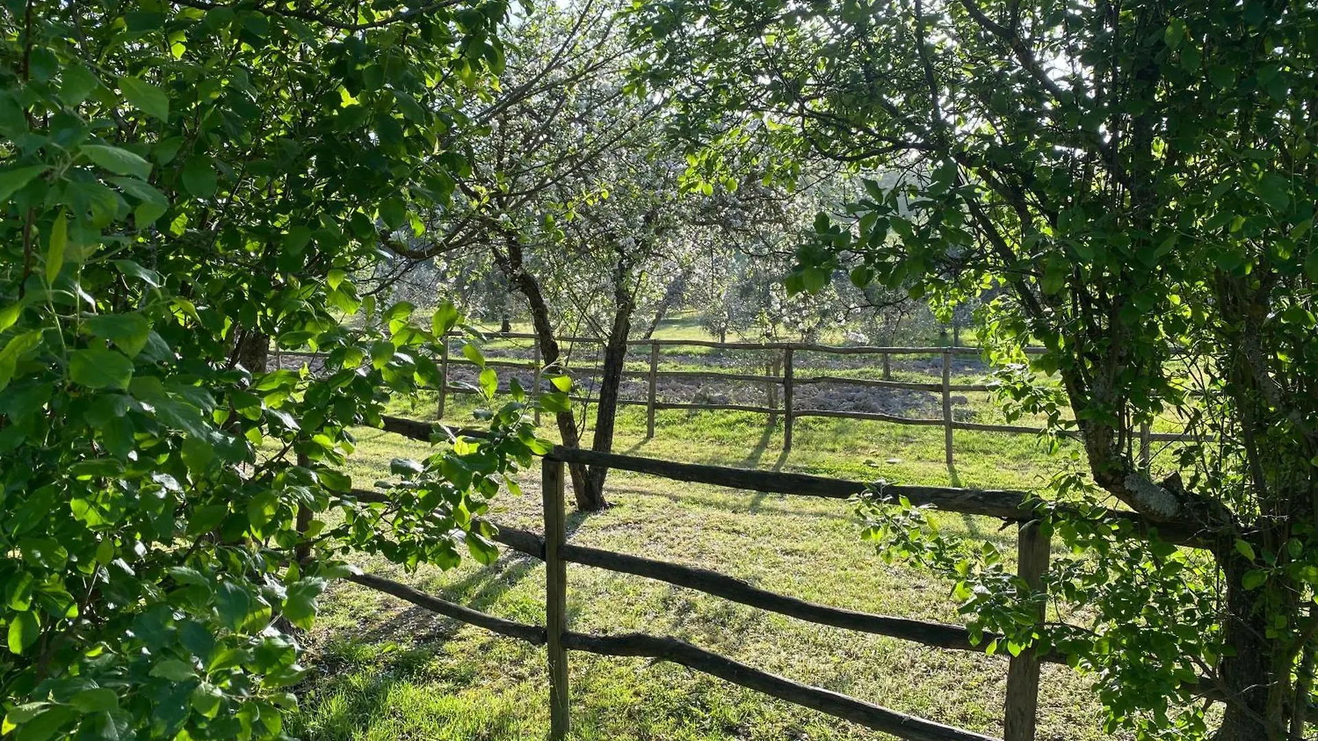 Casa Vacanze Podere San Giusto Volterra Italia