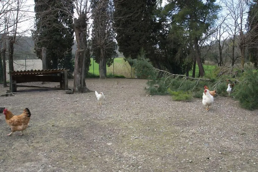 Casa Vacanze Podere San Giusto Volterra