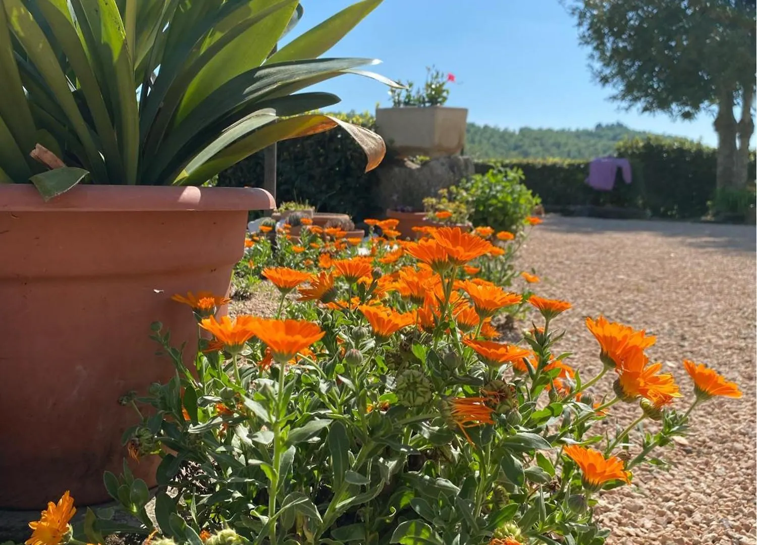 Casa Vacanze Podere San Giusto Volterra Apartment