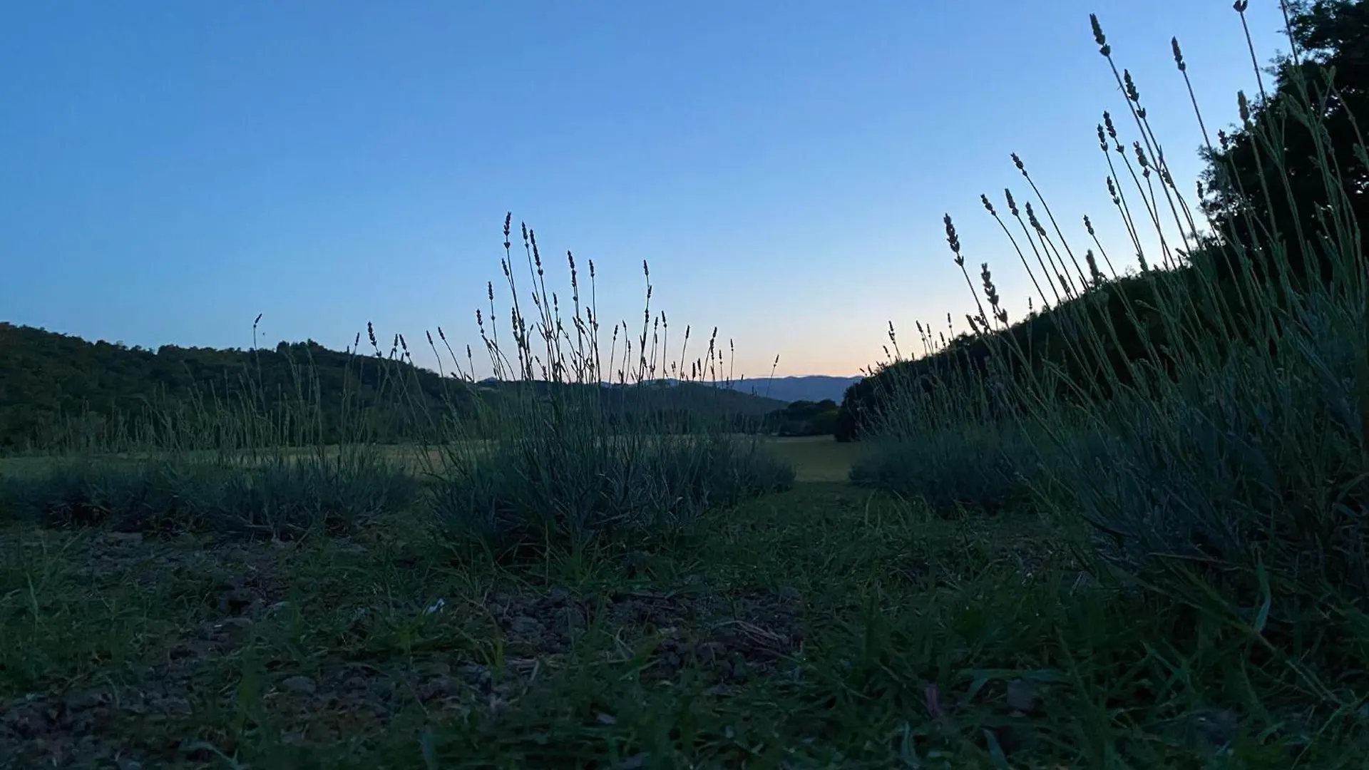 Casa Vacanze Podere San Giusto Volterra Apartment